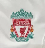 06-07 Liverpool Retro Jersey Third Away - 图片 4