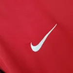 2016 Portugal Retro Jersey Home Euro Cup - 图片 6