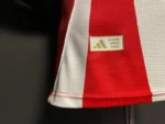 2025/2026 Player Edition Bayern Away Football Jersey - 图片 9