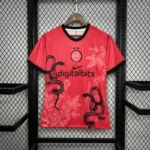 24-25 Inter Milan Red Special Edition Kit Jersey - 图片 6