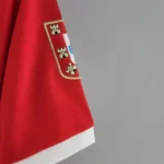 Benfica 1972/73 Retro Jersey Home - 图片 6