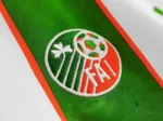 Ireland 1994 Retro Soccer Jersey Away - 图片 5
