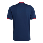 Olympique Lyon Away Shirt 2025-26 - 图片 3