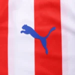 Chivas Guadalajara Retro Jersey Home - 图片 3