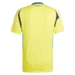 Sweden Home Jersey 2024 - 图片 8