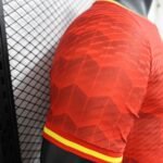 24-25 Player Spain Special Edition Soccer Jersey - 图片 7