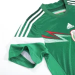 Mexico World Cup 2014 Retro Home Jersey - 图片 5
