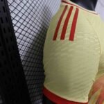 24-25 Player Spain Special Edition Soccrt Jersey - 图片 6