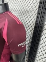2025/26 River Plate Player Edition New Football Shirt - 图片 5