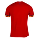 2024 Romania Euro Cup Away Football Jersey - 图片 2