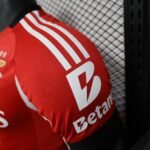 25-26 Benfica Home football jersey Player Version - 图片 6