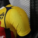 IBRAHIMOVIC #11 Milan Shirt Special Edition Football Jersey Player Version 25-26 - 图片 6