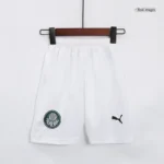 Kids SE Palmeiras 2023/24 Home Jersey Kit Replica - 图片 4