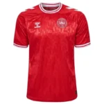 Denmark Home Jersey Euro 2024