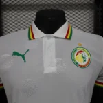 2024/2025 Senegal Special Edition Senegal Football Jersey for Players - 图片 3