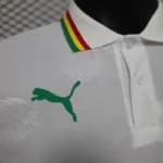 2024/2025 Senegal Special Edition Senegal Football Jersey for Players - 图片 4