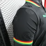 2024/2025 Players Edition Senegal Special Edition Black Football Jersey - 图片 7