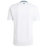 Northern Ireland Away Jersey 2024 - 图片 2