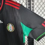 Mexico World Cup 2010 Retro Away Jersey - 图片 9