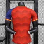 24-25 Player Spain Special Edition Soccer Jersey - 图片 4