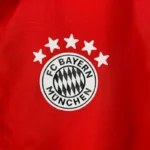 2023-2024 Bayern Munich Reversible Windbreaker （Red-white）Soccer Jersey 1:1 Thai Quality - 图片 9