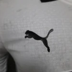 24-25 Borussia Dortmund Third Away Soccer Jersey Player Version - 图片 6