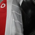24-25 Ajax Home Soccer Jersey Player Version - 图片 7