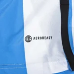 2022 Argentina World Cup Champion Edition 3 stars Home Jersey - 图片 9