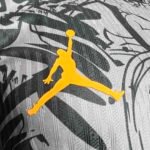 2024 Player Netherlands Special Edition Soccer Jersey - 图片 6