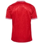Denmark Home Jersey Euro 2024 - 图片 2