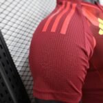 Germany Adidas Men Away Fotball Shirt Player Version Euro 2025 - 图片 9