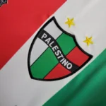 2024 Palestine Home Football Shirt - 图片 6