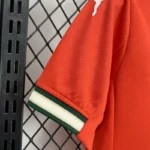 Kids Portugal Home Kits (Jersey+Shorts) 2025 - 图片 6