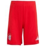 Bayern Munich Home Fan Edition Kit 25-26 Football Shirt - 图片 7